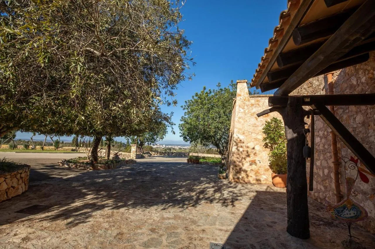 Manacor - 37081 Mallorca ספרד